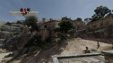 Dragon’s Dogma: Dark Arisen PC mods you’ll probably  .